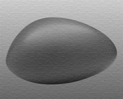 MAGNETI MARELLI 350319520500 -  Покрытие, внешнее зеркало